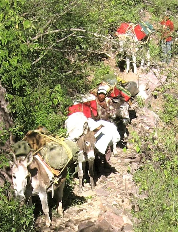 Urique Canyon Burro-Supported Traverse